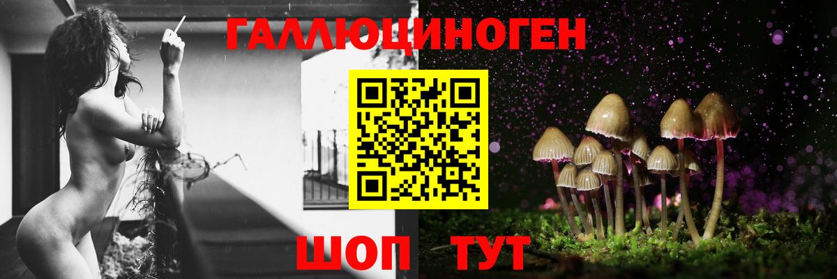 Соль-Илецк  Псилоцибиновые грибы мухоморы  Вход с VPN 